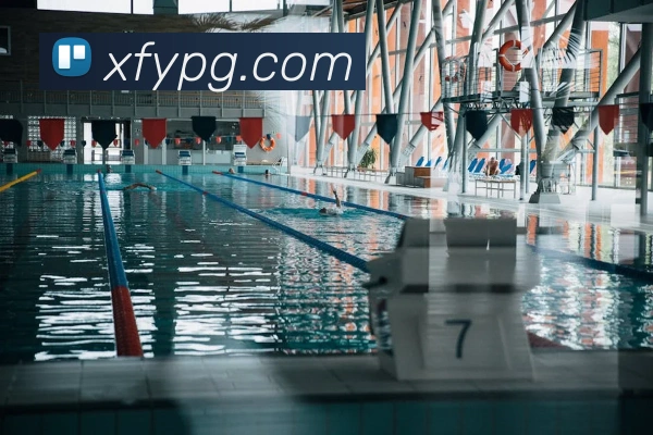 pg官网平台生态图